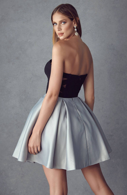Two-Tone Sweetheart Short A-Line Dress