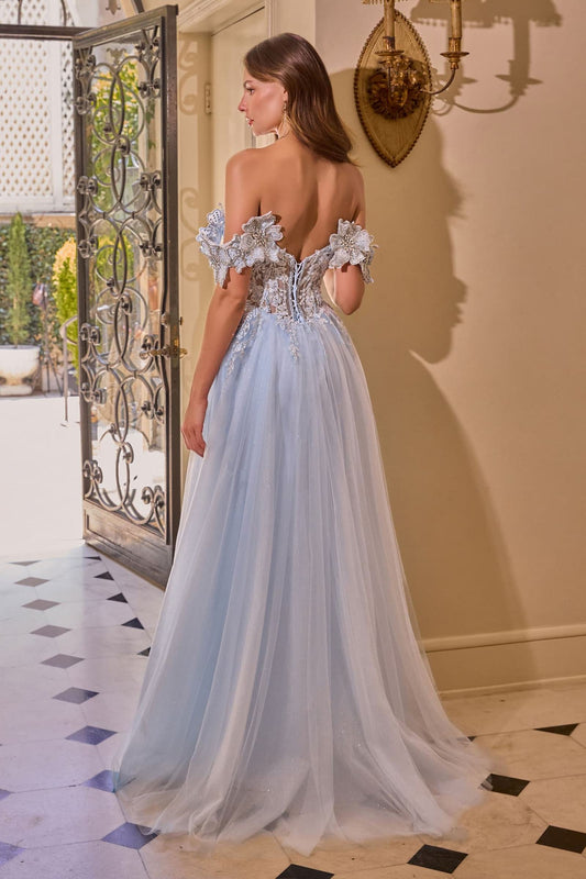 Off-Shoulder Floral Applique Tulle Gown