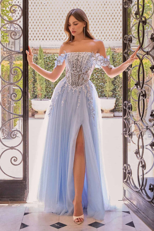 Off-Shoulder Floral Applique Tulle Gown