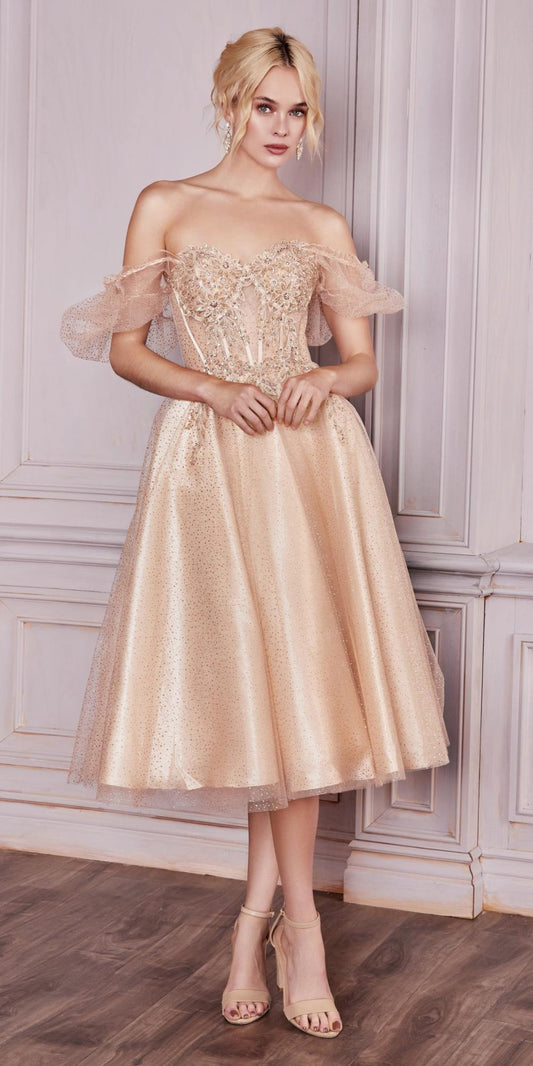 Tea Length Layered Tulle Dress With Short Puff Sleeves