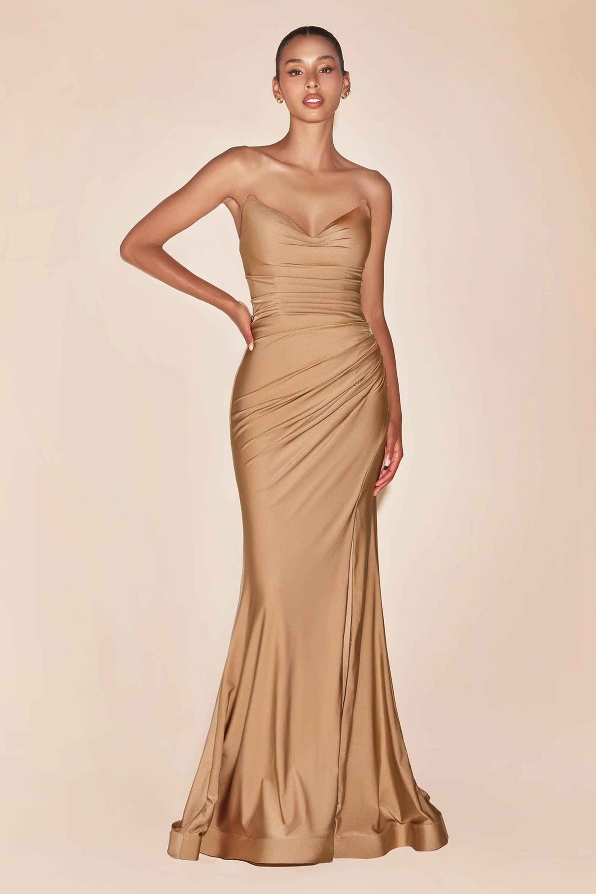 Strapless Stretch Satin Fitted Dusty Rose Gown