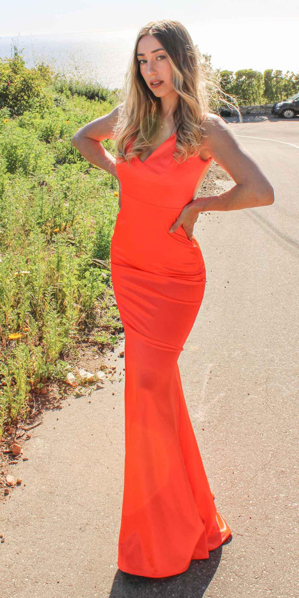 Long Fitted Semi Formal Gown