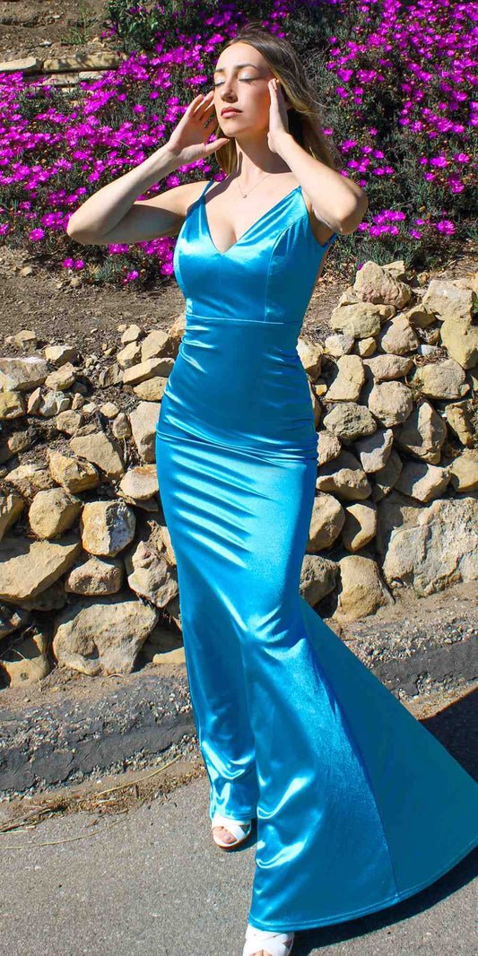 Long Fitted Semi Formal Gown