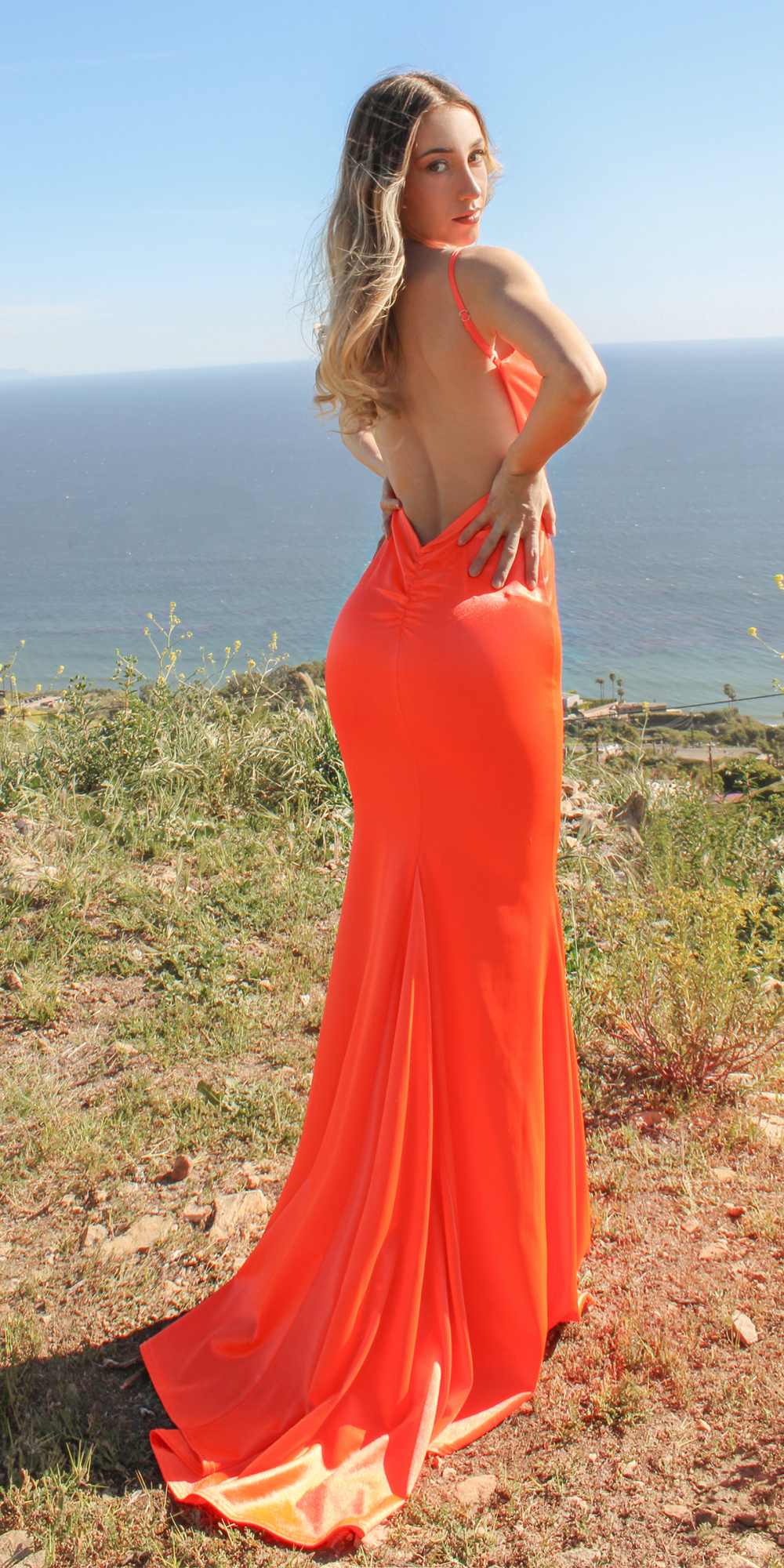 Long Fitted Semi Formal Gown