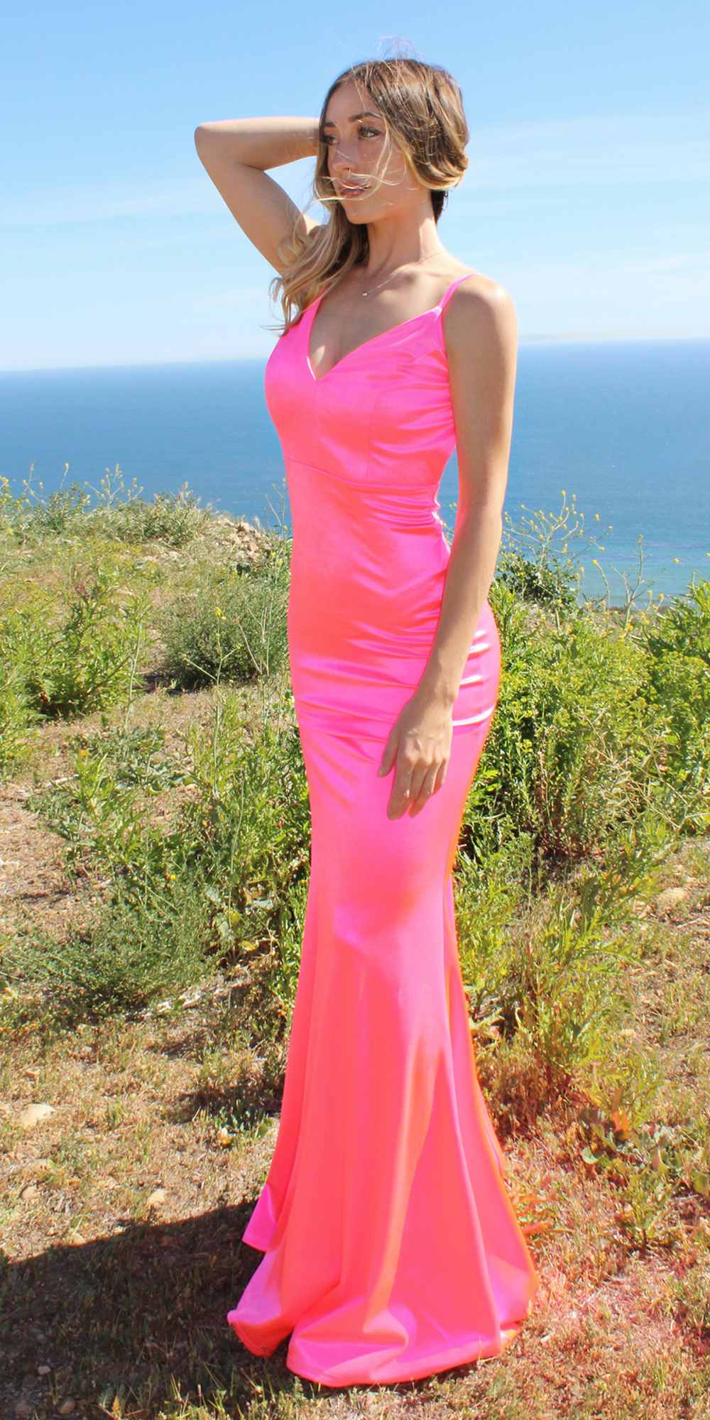 Long Fitted Semi Formal Gown