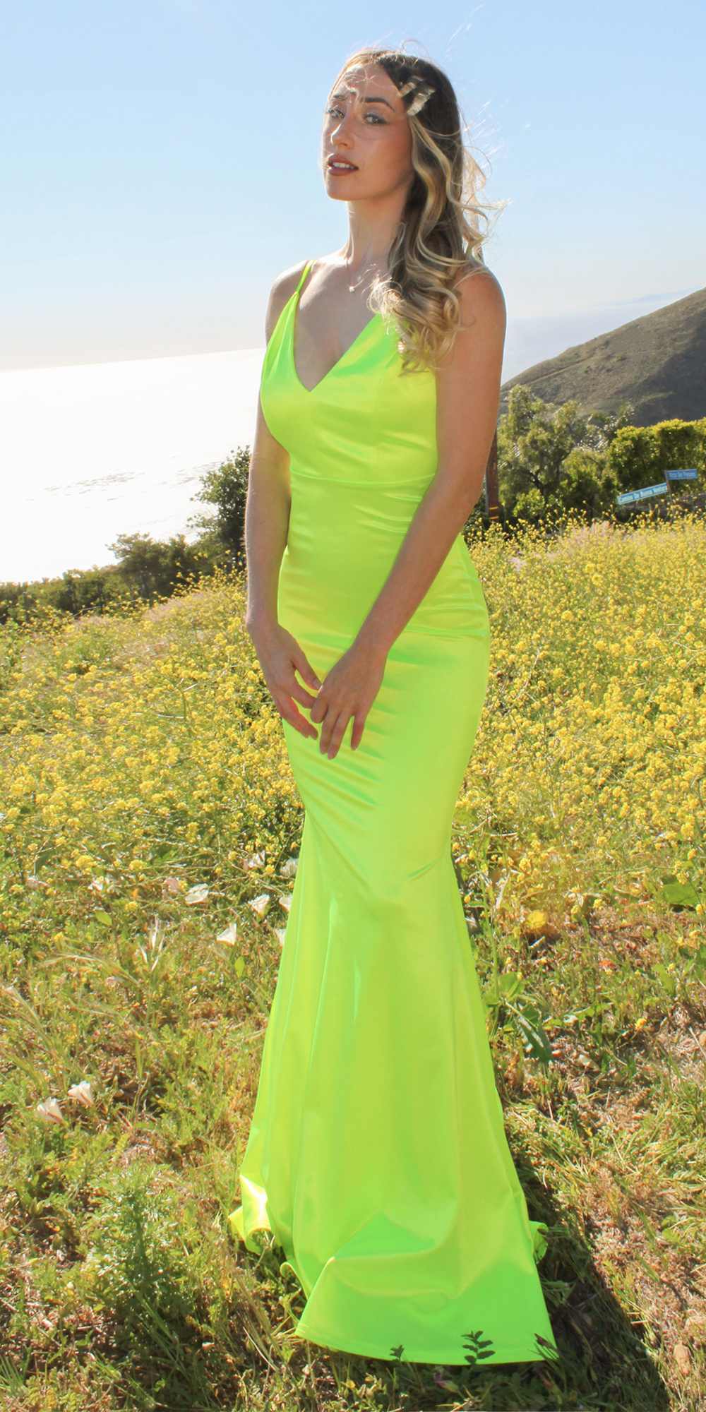 Long Fitted Semi Formal Gown
