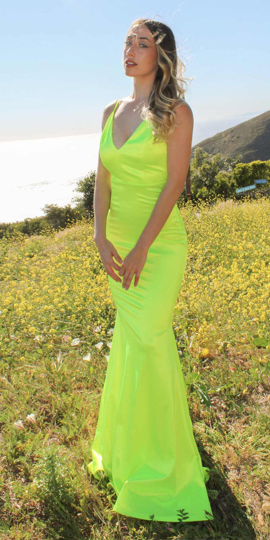 Long Fitted Semi Formal Gown