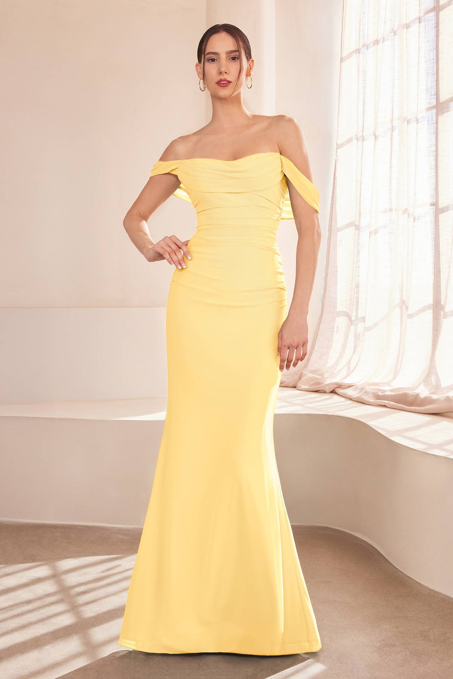 Off Shoulder Fitted Gown