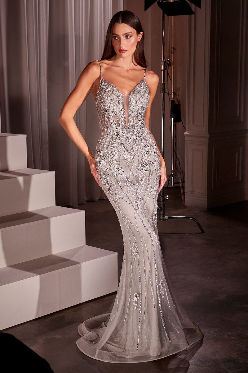 Lace & Tulle Crystal Embellished Fitted Gown