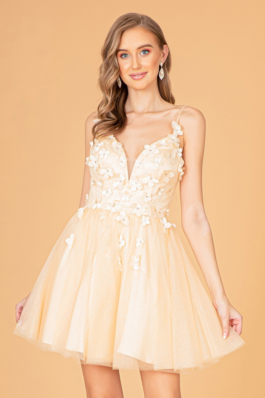 Mesh Babydoll Short Dress with 3-D Appliqués & Corset Back