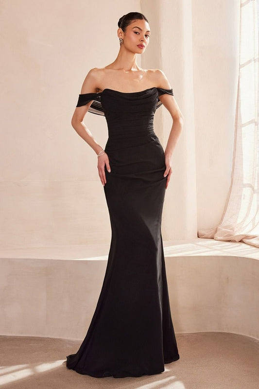 Off Shoulder Fitted Gown