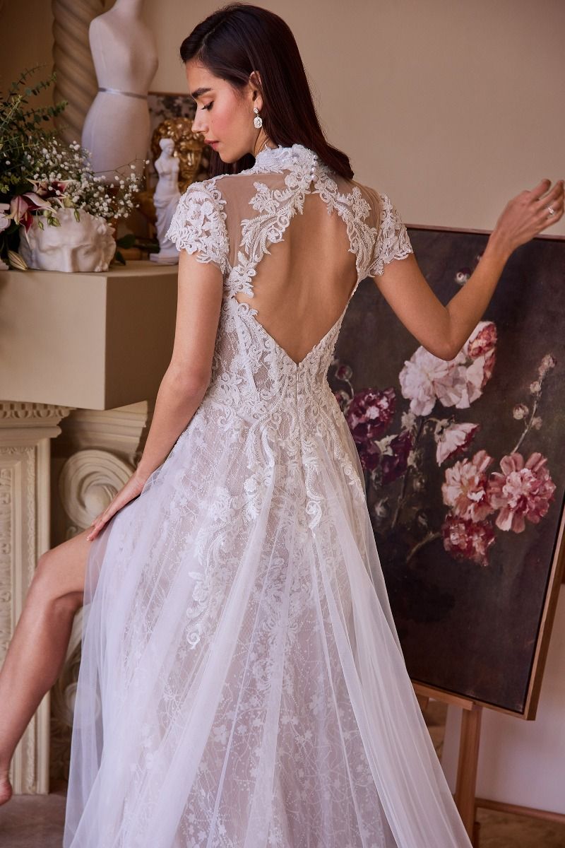 Lace & Tulle Short Sleeve Wedding Gown
