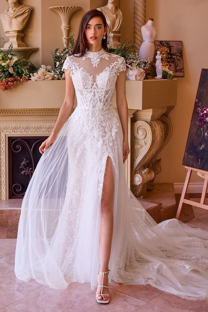 Lace & Tulle Short Sleeve Wedding Gown