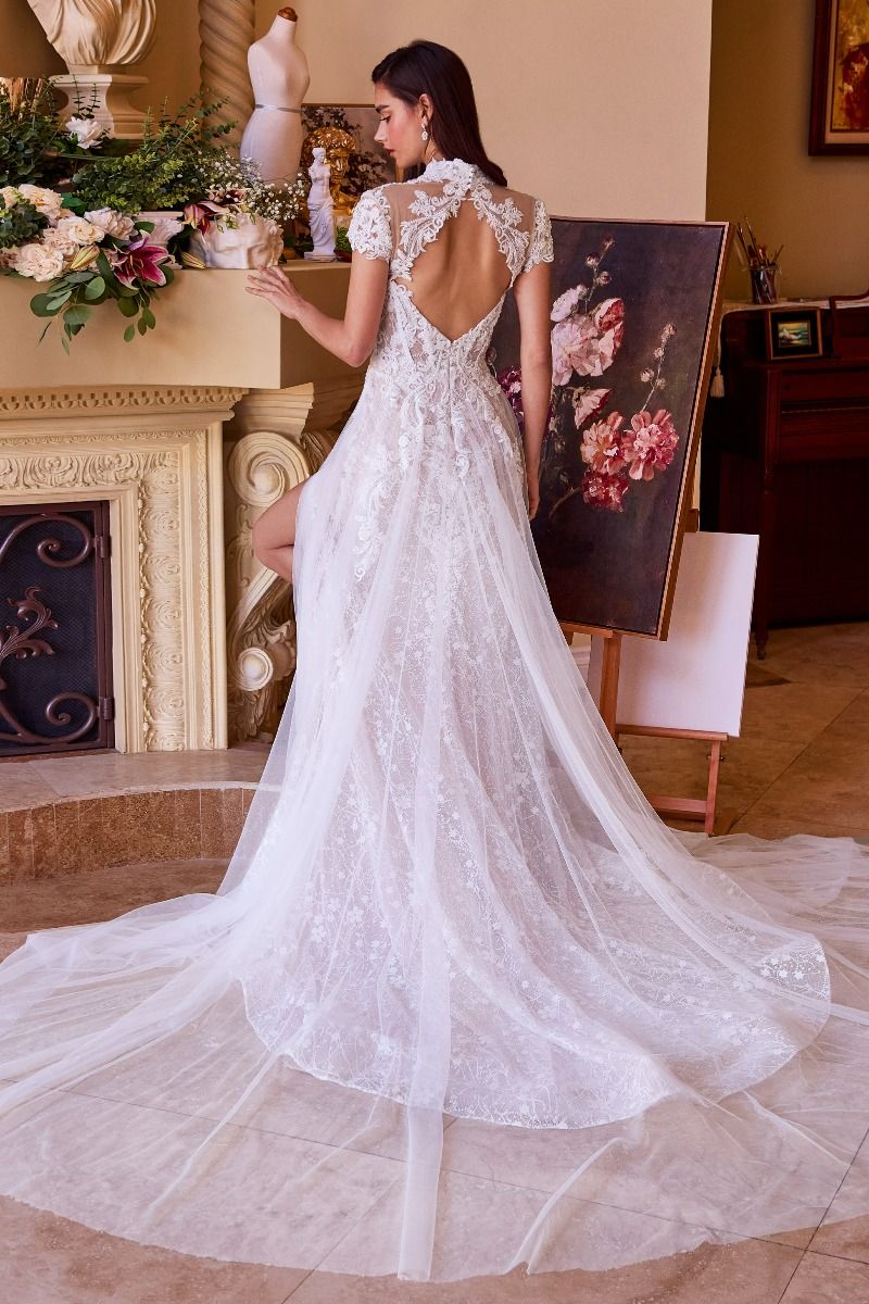 Lace & Tulle Short Sleeve Wedding Gown