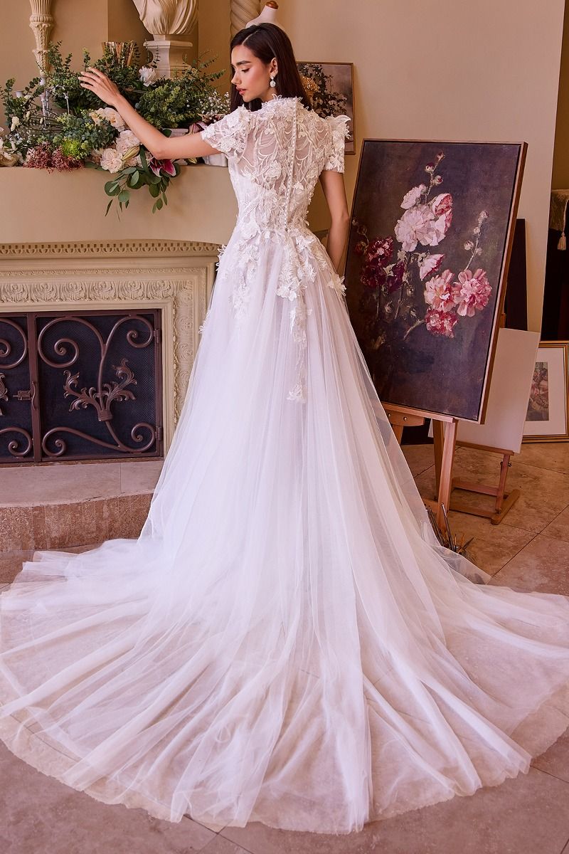 Two Looks In One Wedding Gown