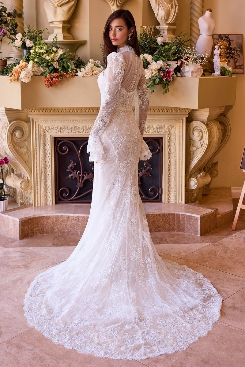 Fitted Lace Bridal Gown