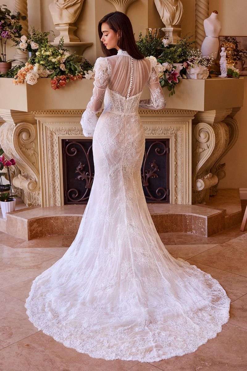 Fitted Lace Bridal Gown