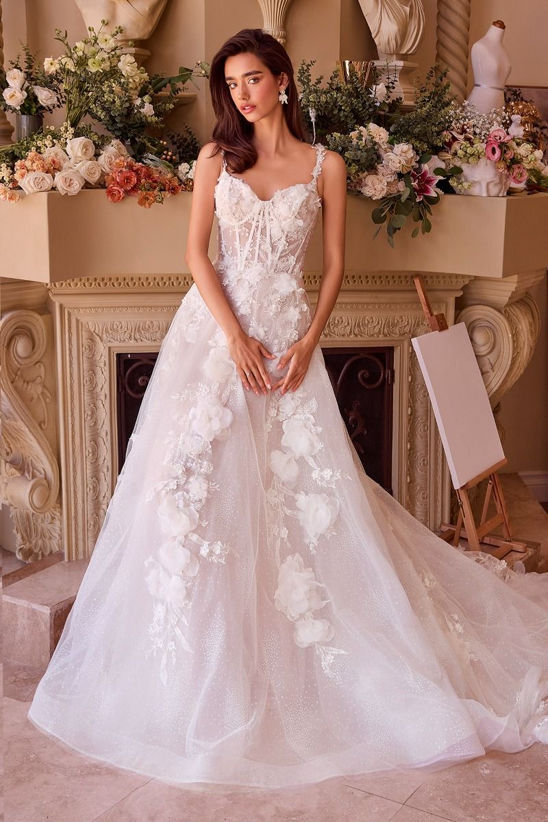 Intricate Floral Applique A-Line Tulle Wedding Dress